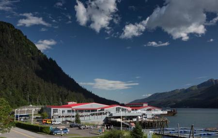 Macaulay Salmon Hatchery Dipac Image