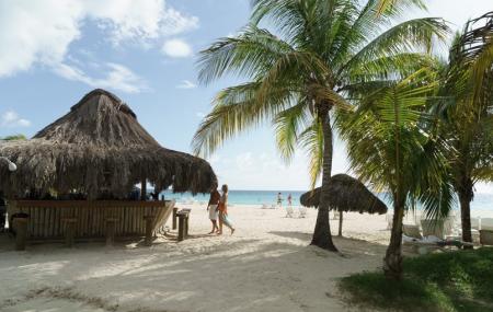 Couples Swept Away Image