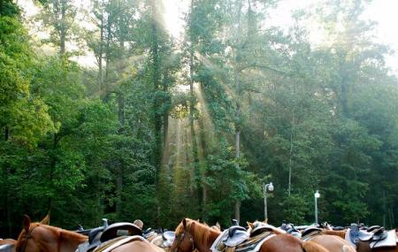 Sugarland Riding Stables Image