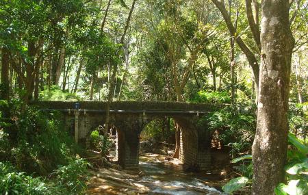 University Of Peradeniya Image