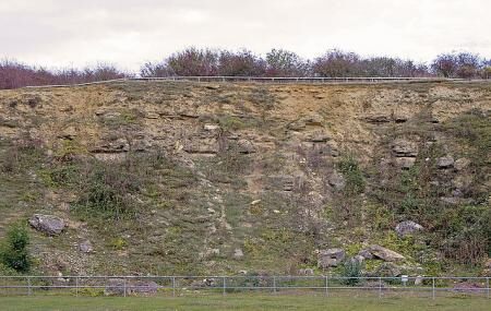 Kirtlington Quarry Image