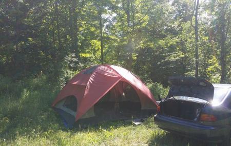 Chautauqua Gorge State Forest Image