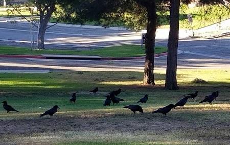 Veterans Memorial Community Regional Park Image