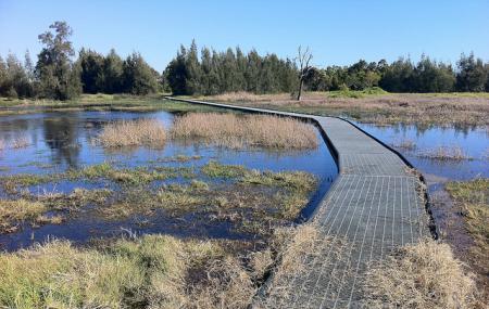 Hunter Wetlands National Park, Kooragang | Ticket Price | Timings ...