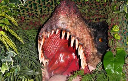 Torquay's Dinosaur World Image