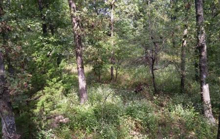 Talbot Conservation Area Image