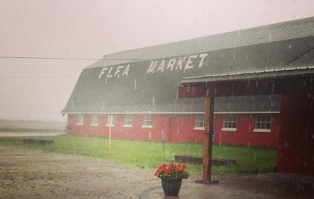 Wurzel's Flea Market Image