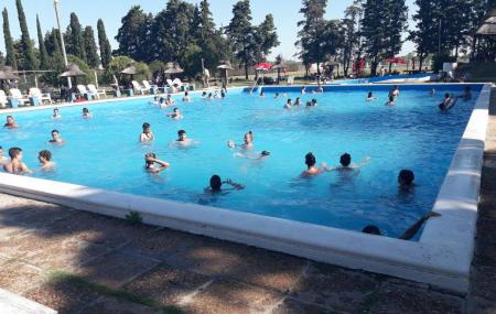 Chapino Image