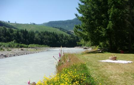 Federation Forest State Park Image