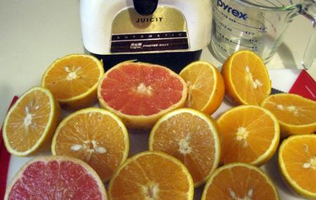Pell S Citrus Nursery Os Reviews Ticket Price Timings Pell S Citrus Nursery Image
