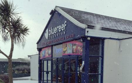 The Blue Reef Aquarium Image