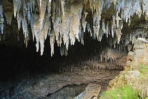 Rawhiti Cave Image