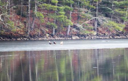 Delaware Highlands Conservancy Image