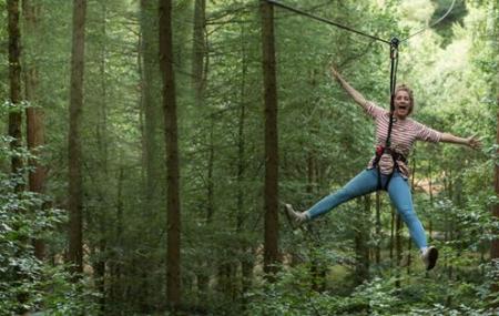 Go Ape Woburn Safari Park Milton Keynes Ticket Price Timings Address Triphobo