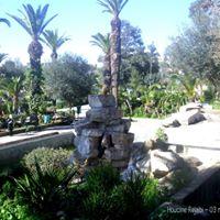 Zoo Le Belvedere A Tunis Image
