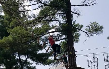 Go Ape Zip Line & Treetop Adventure - North Park Image