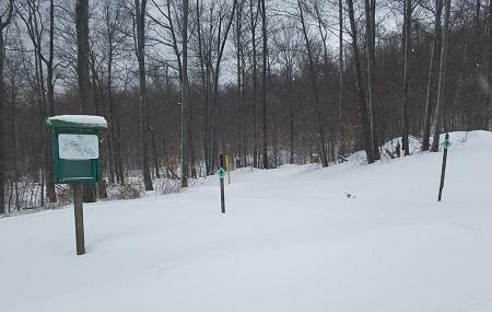 Majestic Trails Image