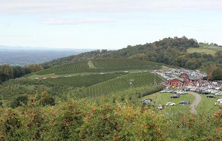 Carter Mountain Orchard Image