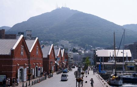 Mount Hakodate Image