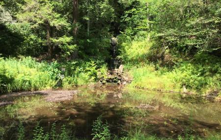 Graystones Preserve Mud Run Image