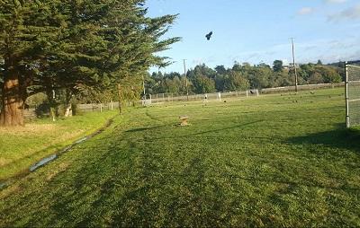 Newburg Park Image