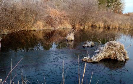 Namekagon Barrens Wildlife Area Image
