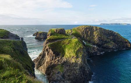 Carrick-a-rede Rope Bridge Image