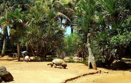 La Vanille Reserve Des Mascareignes Image