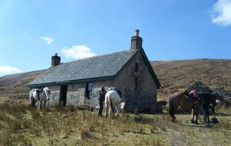 Highlands Unbridled Trail Riding And Trekking Centre Image