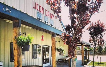 Licon Dairy Image