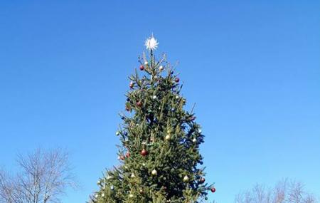 Putnam Valley Town Park Image