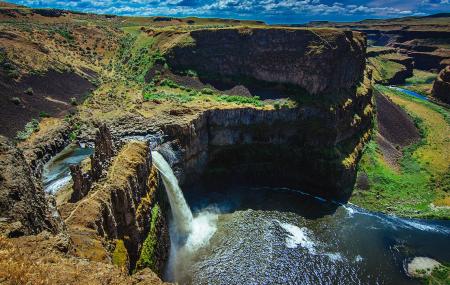 are dogs allowed at palouse falls state park