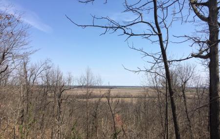 Morris State Park Image
