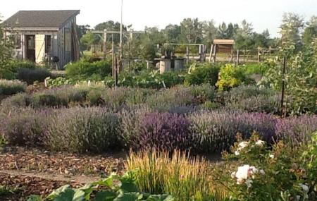 Bruce Botanical Food Gardens Image