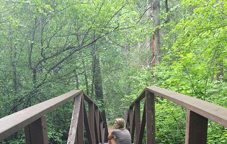Mount Shasta City Park Image