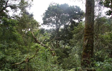 La Amistad International Park Image