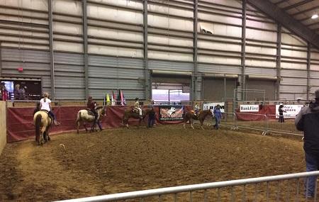 Mississippi Horse Park Image