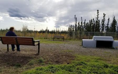 Fairbanks Dog Park Image