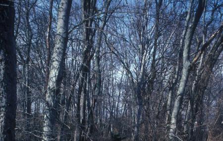 Fort Granger Park Image