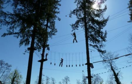 Adventure Park Rheinfall Image