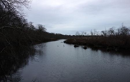 Wertheim National Wildlife Refuge Image
