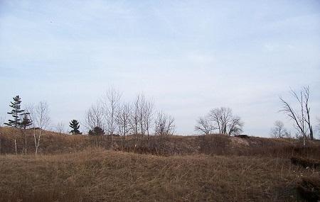 Kohler Park Dunes State Natural Area Image