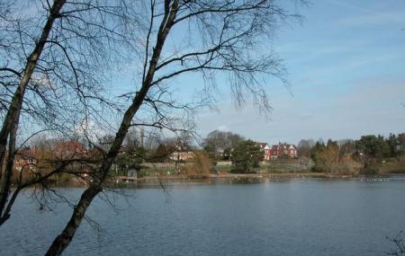 Petersfield Lake Image