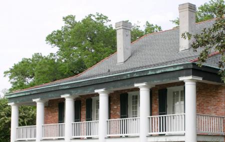 Stella Plantation Image