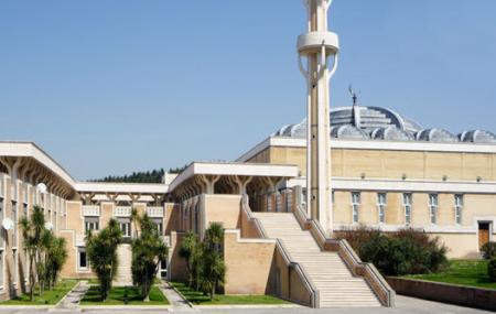Rome Grand Mosque Image