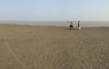 Chandipur Beach Image