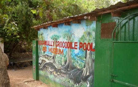 Katchikali Sacred Crocodile Pool Image