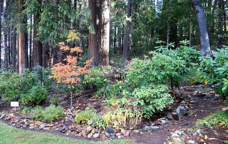 Dunsmuir Botanical Gardens Image