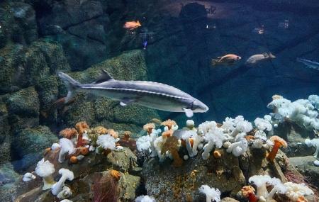 Monterey Bay Aquarium - Seafood Watch Program Image