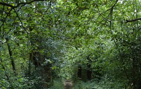 Beaulieu Heights Park Image